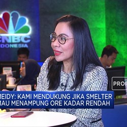Penambang Laporkan Dugaan Kartel Nikel Oleh 2 Smelter Raksasa