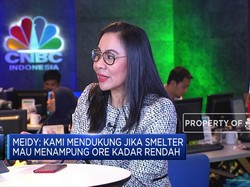 APNI Sambut Baik Kesepakatan BKPM Soal Ekspor Nikel