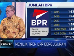 Soal Tren BPR Berguguran, Begini Pandangan LPS