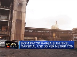 BKPM Patok Harga Bijih Nikel Maksimal USD 30 per Metrik Ton