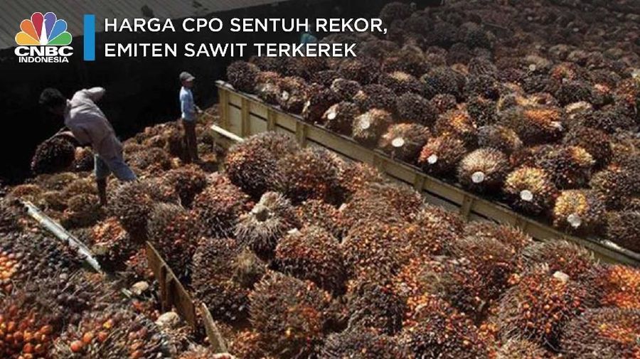 Meroketnnya harga CPO di kuartal IV-2019 tentunya berkebalikan dengan kinerjanya sejak awal tahun.