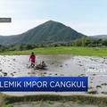 Polemik Impor Cangkul