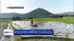 Polemik Impor Cangkul