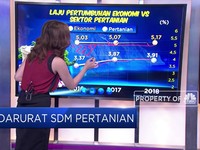 Darurat SDM Pertanian Indonesia