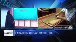 Raup Manisnya Laba dari Bisnis Sarang Lebah
