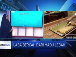 Raup Manisnya Laba dari Bisnis Sarang Lebah
