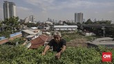 Berkebun di tengah perkotaan atau urban farming kian diminati oleh masyarakat modern, Jakarta (15/11).