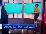 Cara Berkah Jalankan Bisnis Sarang Lebah