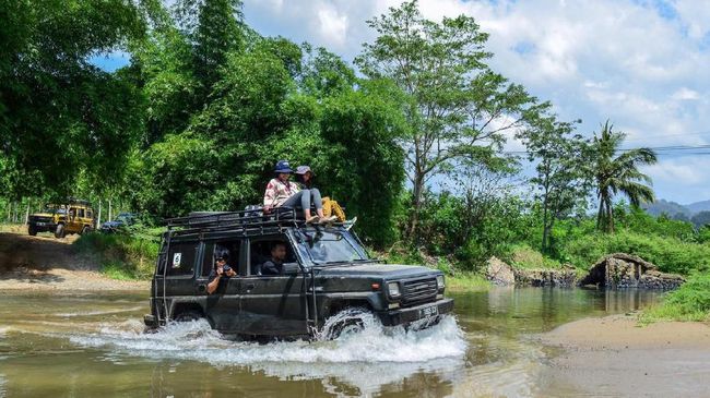 Ekowisata Bersama Kawanan Penyu di TN Meru Betiri