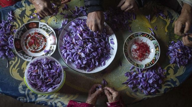 Mengenal Keunikan Saffron, Rempah Paling Mahal di Dunia
