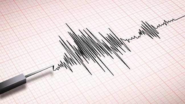 Gempa 5,0 SR Guncang Mamberamo Tengah, Papua