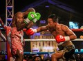 Menang TKO, Daud Yordan Sukses Jalankan Strategi