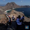 Tiket Komodo 'Meledak', Bos Agen Wisata 'Menjerit'