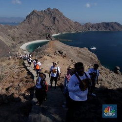 Tiket Komodo 'Meledak', Bos Agen Wisata 'Menjerit'