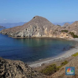 Jadi Ikon Taman Nasional Komodo, Intip Keindahan Pulau Padar