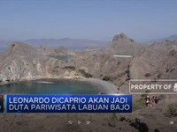 Siap-Siap Leonardo DiCaprio Jadi Duta Labuan Bajo