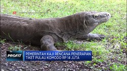 Pemerintah Kaji Rencana Tiket Pulau Komodo Rp 14 Juta