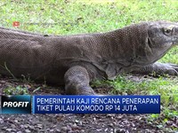 Pemerintah Kaji Rencana Tiket Pulau Komodo Rp 14 Juta