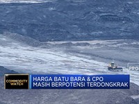Harga Komoditas Dunia Naik Terdorong Sentimen Musim Dingin