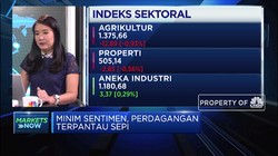 Minim Katalis Positif, IHSG Betah di Zona Merah
