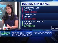 Minim Katalis Positif, IHSG Betah di Zona Merah