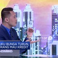 Analisis Ketangguhan Tingkat Suku Bunga Perbankan