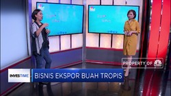 Yuk Cari Peluang Bisnis Ekspor Buah Tropis