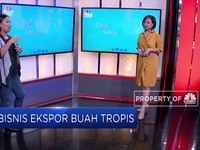 Yuk Cari Peluang Bisnis Ekspor Buah Tropis