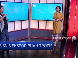 Yuk Cari Peluang Bisnis Ekspor Buah Tropis