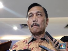 Banyak Urusannya, Menteri Luhut Bakal Punya 6 Deputi