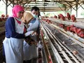 Khofifah Imbau Pelatih Minta Maaf Tuduh Atlet Tak Perawan