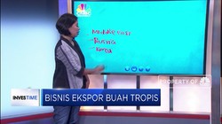 Kunci Sukses Bisnis Ekspor Buah Tropis