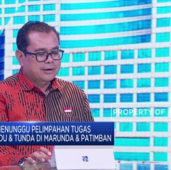 Jasa Pandu Kapal, Ekspansi Bisnis Jasa Armada Indonesia
