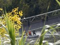 Wartawan Diusir Saat Liput Jembatan Ambruk di Utan Kemayoran