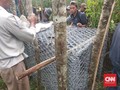 Antisipasi Harimau ke Pemukiman, Warga Lahat Pasang Jerat