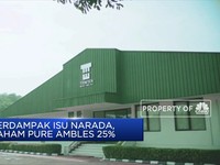 Saham PURE Amblas 25%