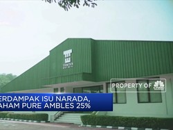 Saham PURE Amblas 25%