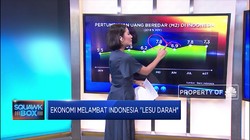 Ekonomi Melambat, Indonesia 