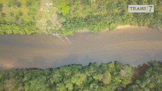 VIDEO: Menguak Kekayaan Alam dan Budaya di Riau