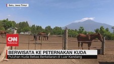 VIDEO: Berwisata ke Peternakan Kuda