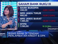 Ekonom Sebut Ada 3 Penyebab Bank Sulit Turunkan Suku Bunga