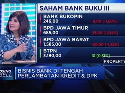 Ekonom Sebut Ada 3 Penyebab Bank Sulit Turunkan Suku Bunga