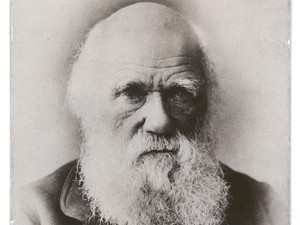 Ternyata Charles Darwin Tak Pernah Bilang Manusia Berasal dari Kera
