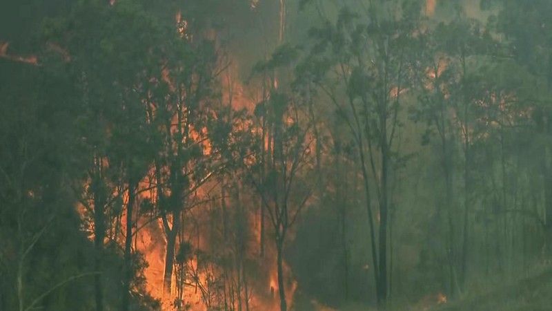 Kabut asap akibat kebakaran lahan menyelimuti Sydney, Australia Kamis (21/11/2019).