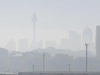 Pekatnya Kabut Asap Selimuti Sydney