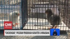 VIDEO: Chikenisasi untuk Pendidikan Karakter & Wirausaha