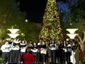 VIDEO: Keriaan AS Sambut Natal