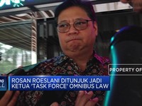Rosan Roeslani Ditunjuk Jadi Ketua 'Task Force' Omnibus Law