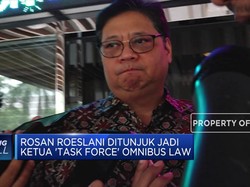Rosan Roeslani Ditunjuk Jadi Ketua 'Task Force' Omnibus Law