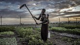 Sulit dibayangkan untuk bisa bertahan hidup di tengah kondisi seperti ini. Namun nyatanya, komunitas setempat tak menyerah pada situasi. (Luis TATO / AFP)